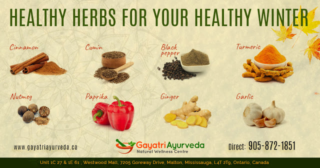 healthy ayurvedic herbs